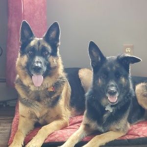 Meet your Posher, April